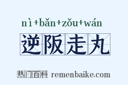 逆阪走丸是什么意思的图片